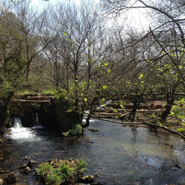 Trisileja En Puente Romano Toñanes Eksteriør billede